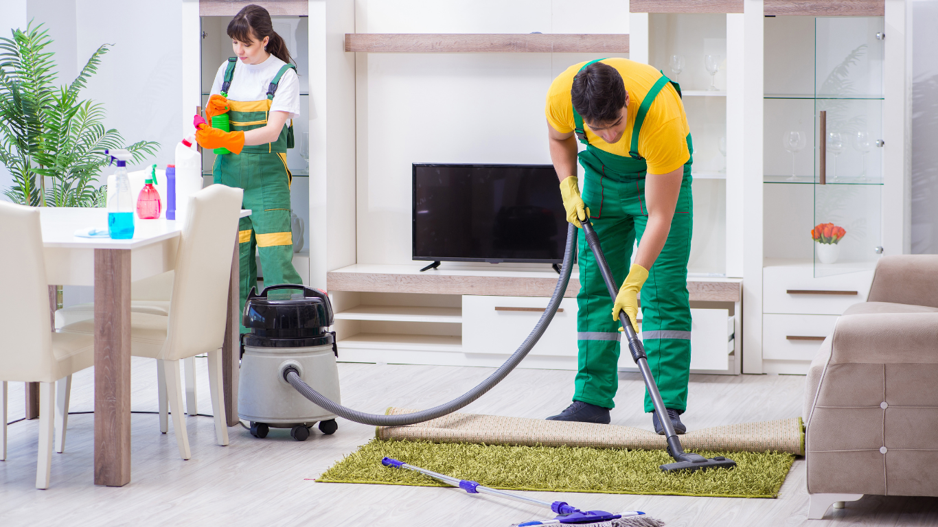 carpet and upholstery cleaning